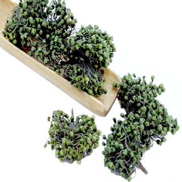 【三七花►共1組(100g/組)】退火聖品▪調整體質▪營養補給▪幫助入睡▪緩解壓力