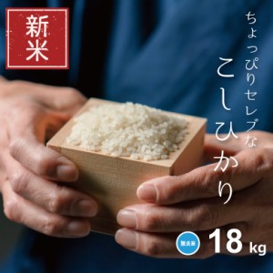 新米 米 お米 18kg ちょっぴりセレブな コシヒカリ 無洗米 国内産 令和5年産 20kg こしひかり