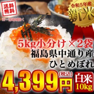 新米 お米 令和5年産 福島県中通り産ひとめぼれ白米10kg(5kg×2個)  送料無料 ※一部地域を除く