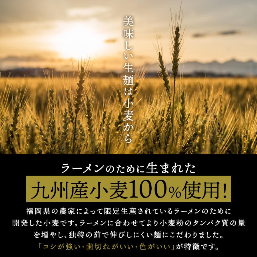 送料無料 6種から選べる 国産小麦 PREMIUM 生ラーメン 5食セット プレミアム ラーメン らーめん 拉麺 食品 生麺 国産小麦使用