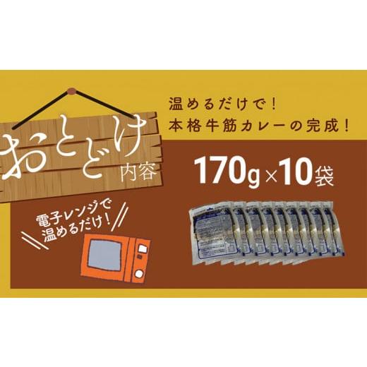 ふるさと納税 福岡県 田川市 博多和牛１００％使用！！あまおうがほのかに香る牛すじゴロっとカレー（１７０ｇ×１０袋） あまおう 博多和牛 牛…