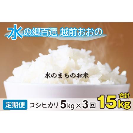 ふるさと納税 こしひかり 5kg×3回 計15kg「エコファーマー米」水のまちのお米 [B-003004] 福井県大野市