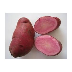ノーザンルビー 北海道 Ｍ〜２L サイズ ２kg ジャガイモ 北海道産 芋 人気 野菜 じゃがいも おすすめ ギフト