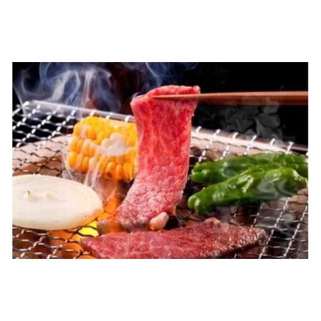 ふるさと納税 近江牛鉄板・焼肉用ロース肉　500g 滋賀県守山市