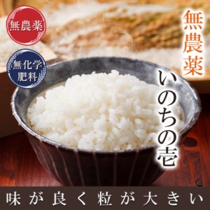 無農薬 米 玄米 2kg いのちの壱  米粒約1.5倍 令和4年福井県産 限定米 送料無料 無農薬・無化学肥料栽培 自然農法米 米・食味鑑定士認定