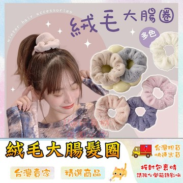 毛絨絨大腸圈 毛絨絨髮圈 絨毛髮圈 毛絨髮圈 大腸髮圈 綁頭髮 髮飾 髮圈 🔥台灣現貨🔥 😽198玩具城😽 W1669