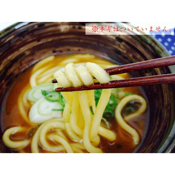 讃岐うどん 生うどん 讃岐 300g つゆ付き 香川産 本場 udon 生うどん コシ もちもち さぬき 四国 ご当地 取り寄せ