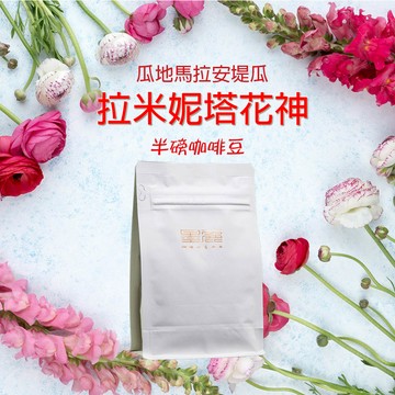 【瓜地馬拉拉米妮塔花神咖啡(淺中焙)】
