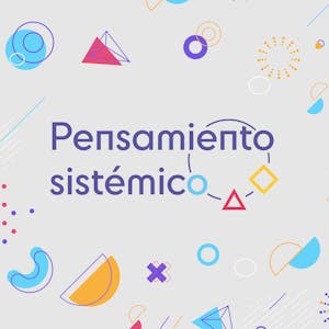 Pensamiento Sistémico en el Siglo XXI
