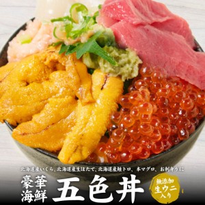 札幌中央卸売市場 豪華海鮮5色丼 セット 本マグロ いくら醤油漬け 生ウニ 生ほたて貝柱 鮭とろ 海鮮丼 送料無料 ギフト プレゼント お歳