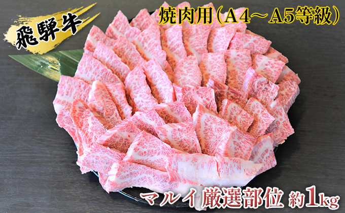 飛騨牛焼肉用（A4～A5等級）マルイ厳選部位約1kg（約500g×2）