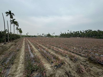 茄冬昌東段農地｜屏東縣佳冬鄉昌東段