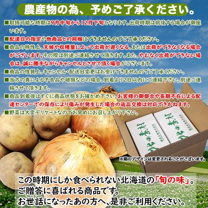 期間限定 産地直送！！北海道産 じゃがいも・玉ねぎ詰め合わせ (MLサイズ各 5kg・箱入・常温) 食卓の常備野菜を、北海道からお届けします!