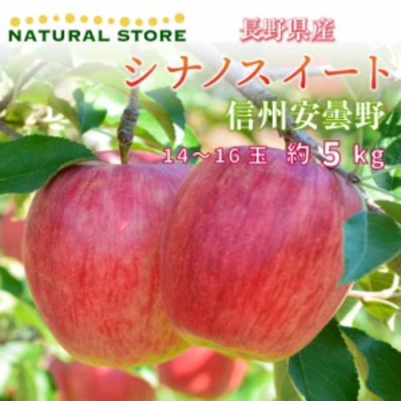 5kg　リンゴ　予約　約　14-16玉　長野県　LINEポイント最大1.0%GET　大玉　通販　10月1日～初荷分より順次発送]　りんご　信州　安曇野産　LINEショッピング　[最短順次発送]シナノスイート　秋ギフト