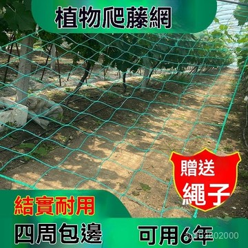 🔥佑佑精選🔥園藝植物爬藤網瓜網苦瓜絲瓜黃瓜豆角葡萄百香果藤蔓攀爬網園藝網 搭架網 栽培網 棚架網 絲瓜網 苦瓜網弔瓜網