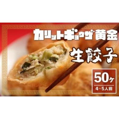 ふるさと納税 愛知県 名古屋市 カリットギョウザ生餃子50ケジューシー