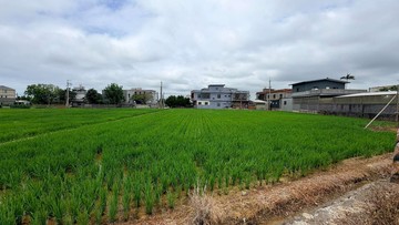 【很慧賣】新豐臨路方正農地~近35米大面寬自用投資｜新竹縣新豐鄉福興段十一股小段
