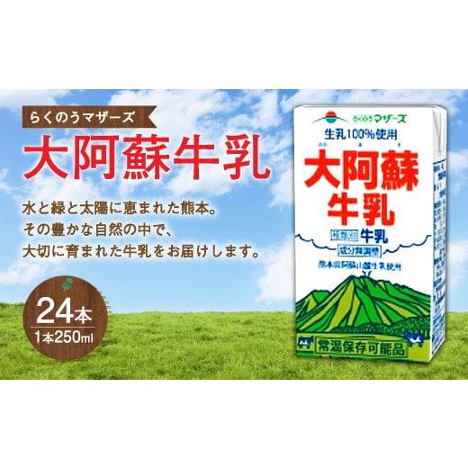 ふるさと納税 熊本県 合志市 大阿蘇 牛乳 250ml×24本入 1ケース 成分無調整