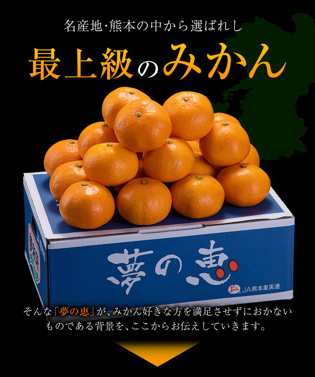 夢の恵 みかん 2.5kg前後(20玉〜30玉前後) 糖度12度以上 ブランド みかん ブランド 贈答用 糖度 12度 以上 熨斗 7-14営業日以内に発送予定(土日祝日除く)
