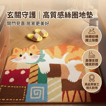 高品質高彈 絲圈地墊 入戶地墊 門口地墊 玄關地墊 進門地墊 刮泥地墊 腳踏墊玄關 玄關地墊絲圈 刮泥蹭土除塵地墊