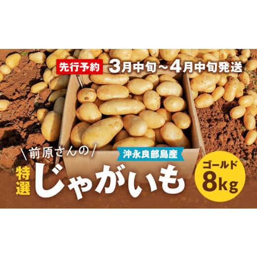 ふるさと納税 鹿児島県 知名町 先行予約　前原さんの特選じゃがいも　８kg ゴールド