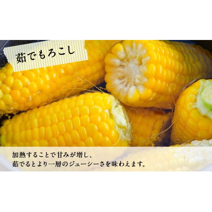 北海道 スイートコーン 味来 約10kg 2Lサイズ 計26本 とうもろこし とうきび コーン 新鮮 採れたて 産直 JAようてい 送料無料 北海道 倶知安町