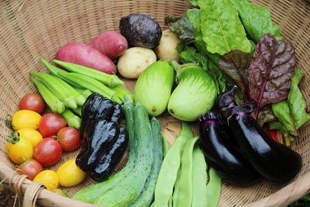 新鮮お野菜ボックス（京都・京丹波町産）≪栽培期間中農薬不使用の安心安全こだわり野菜≫[010SN001]