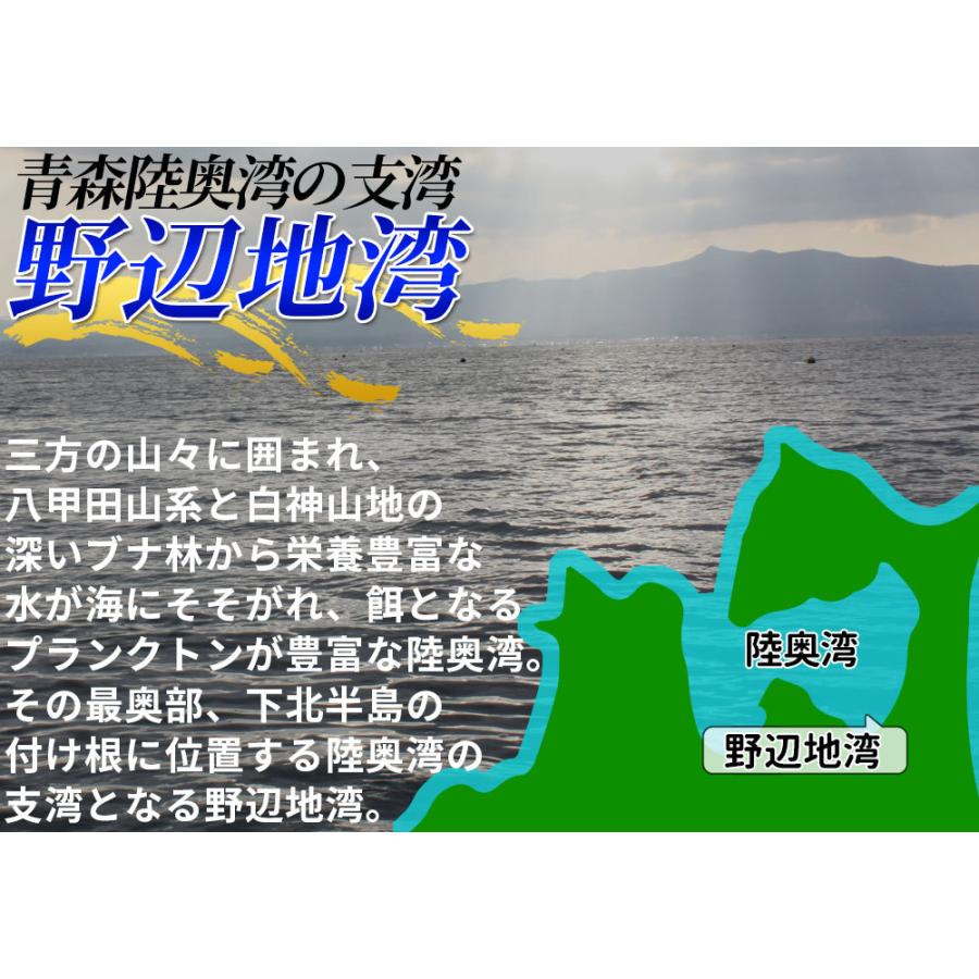 青森県陸奥湾産 ナマコ と ホタテ のセット 送料無料  なまこ ほたて を直送 [※クール便][※他商品と同梱不可]