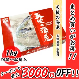 天使の海老 50 60 生食用 1kg 50尾～60尾入り エビ 海老 刺身 しゃぶしゃぶ 生食 化粧箱 無添加 お取り寄せ ギフト 食品 冷凍便 プロ愛用