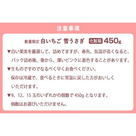 ふるさと納税 『予約受付』白いちご 雪うさぎ 450ｇ入り化粧箱（佐賀県唐津市限定生産）苺 イチゴ 希少 果物 フルーツ 佐賀県唐津市