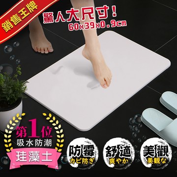 5icoco加強版珪藻土超吸水地墊 腳踏墊 60x39x0.9
