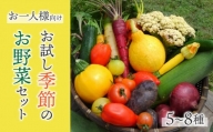 お一人様向け、お試し季節のお野菜セット