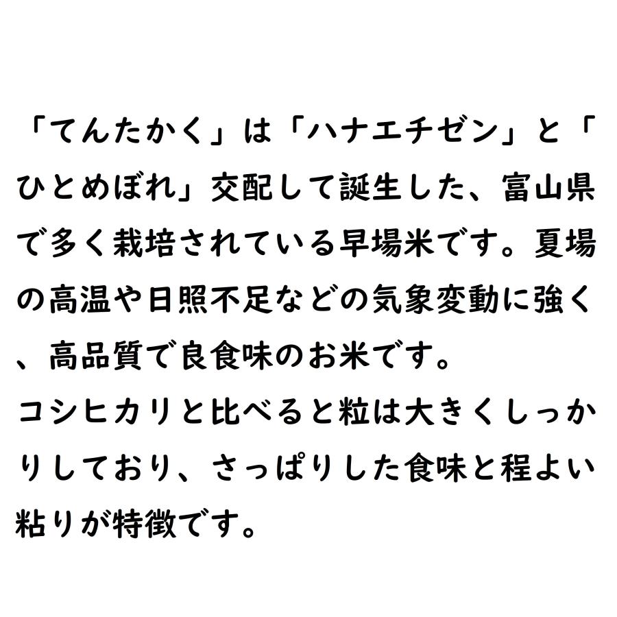 新米 てんたかく 富山県産 10kg 令和5年産 白米 5kg×2袋