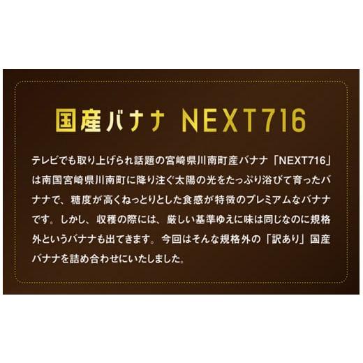 ふるさと納税 宮崎県 川南町 国産バナナ１ｋｇ（10本〜13本程度）