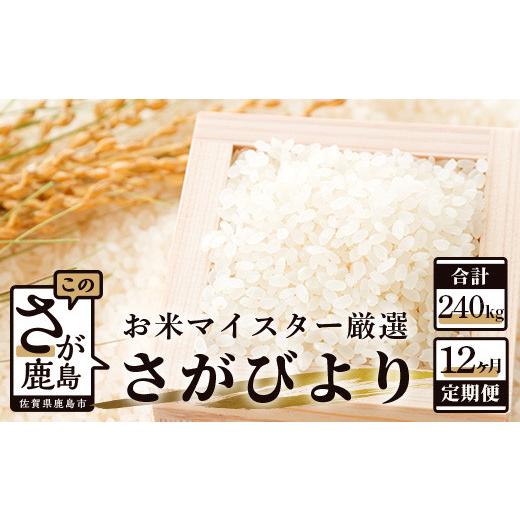 ふるさと納税 佐賀県 鹿島市 V-11 《12ヶ月定期便》鹿島市産さがびより　白米（毎月２０ｋｇ×１２回）