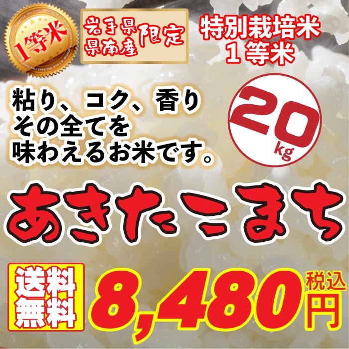 新米 令和5年産 あきたこまち 20kg お米 白米 精米 国産 岩手県産 10kgx2袋 小分け 送料無料