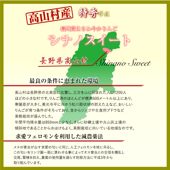 [予約 10月10日-11月30日の納品]  特秀 シナノスイート 5-6玉 約2kg 大玉 秋ギフト りんご 長野県 信州高山村 JA須高 高山共撰所