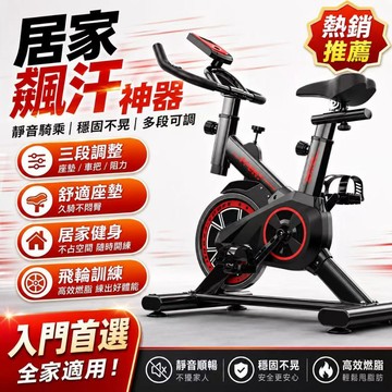🥇1年保固🥇專業室內飛輪健身車 靜音雙向皮帶傳動 飛輪無段阻力 健身腳踏車 磁控健身車