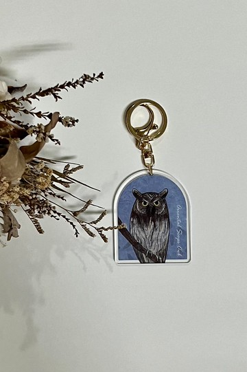 臺灣貓頭鷹 壓克力鑰匙圈-東方角鴞