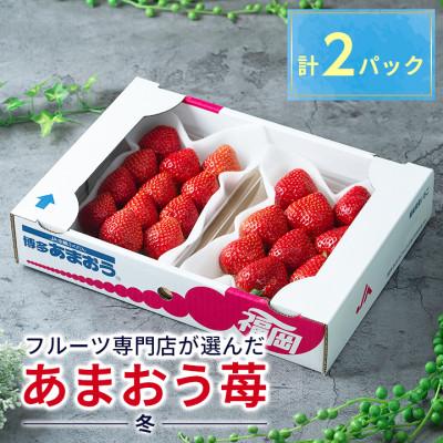 ふるさと納税 中間市 さとふる限定!なかっぱシール付・フルーツ専門店が選んだ「あまおう苺」冬2パック(中間市)