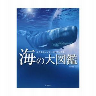 海の大図鑑 (イラストレイテッド・アトラス) | 深澤 理郎, 深澤