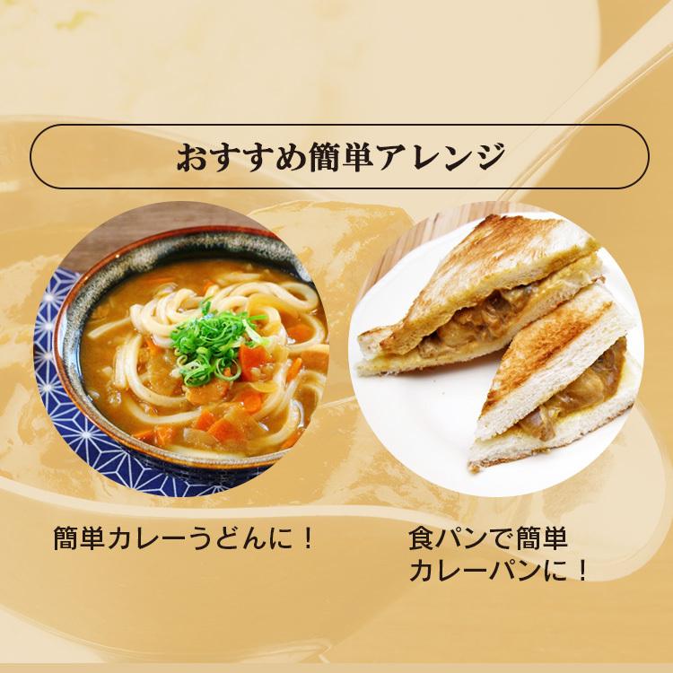 カレー 牛肉をとろけるまで煮込んだレストラン仕様カレー 170g×4食パック アイリスオーヤマ レンジで1分 簡単 日本ハム