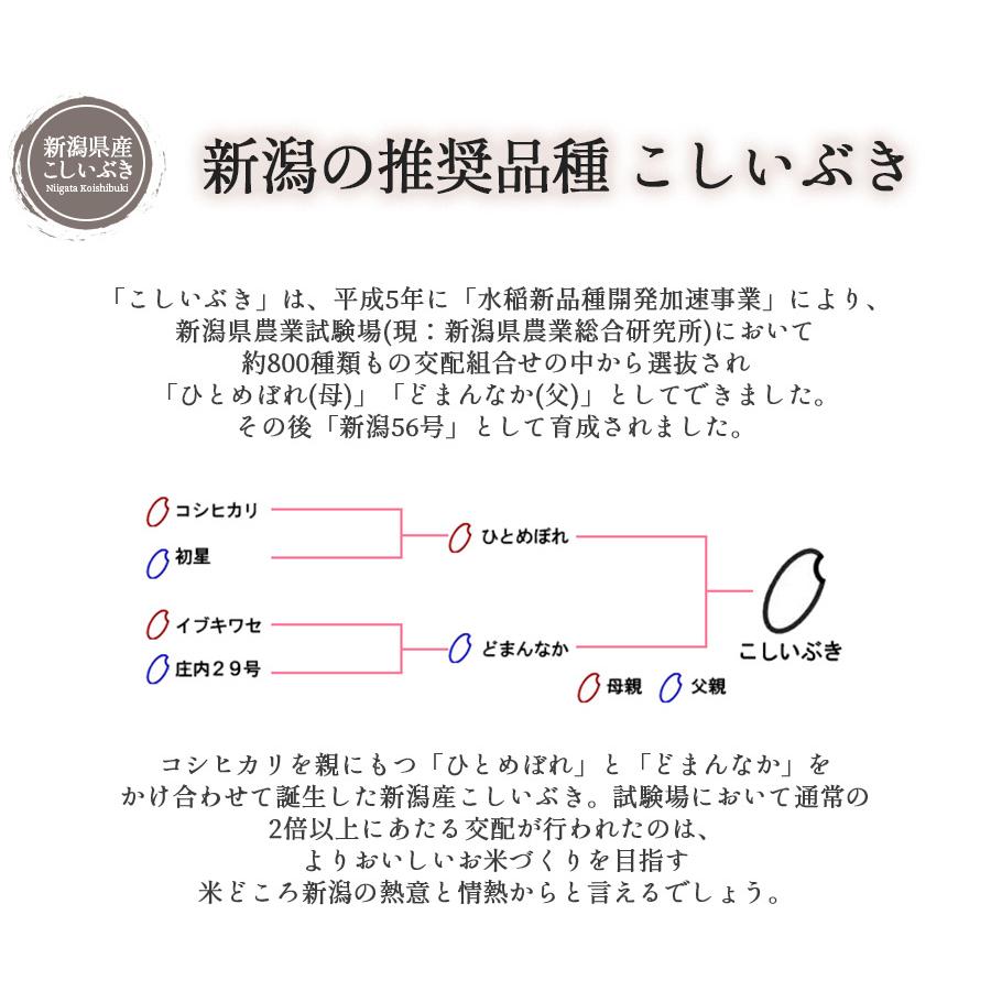 お米 2kg 白米 新米 令和5年産 新潟県産 こしいぶき 産地直送 米 国産 国内産 2キロ ブランド米 ギフト お中元 父の日 母の日 敬老の日