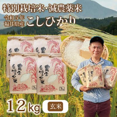 ふるさと納税 越前市 令和5年 新米 福井県産 栽培期間中農薬を減らして栽培したこしひかり 12kg(玄米)