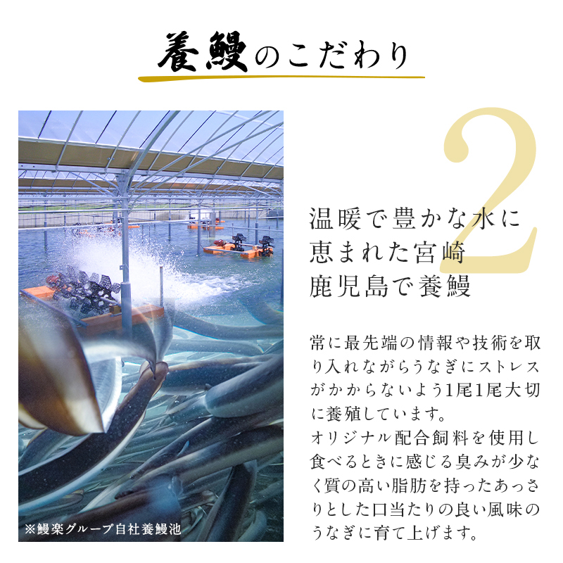 国産うなぎ蒲焼 長焼2尾 ＜2～4人前＞