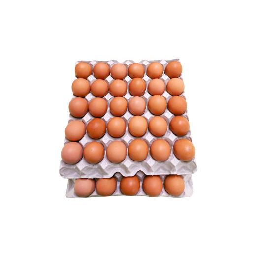 ふるさと納税 福岡県 広川町 きみ恋し 60個 箱入り 卵 タマゴ たまご 玉子 鶏卵