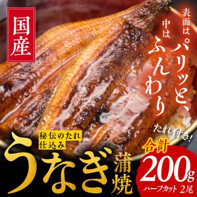 ふるさと納税 泉佐野市 国産うなぎ ハーフカット 合計 200g 秘伝のたれ 蒲焼 訳あり 鰻 ウナギ 無頭010B904