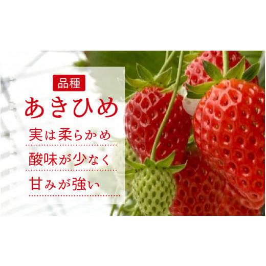 ふるさと納税 福井県 高浜町 いちご農園のブランド苺(冷凍いちご×1kg)|