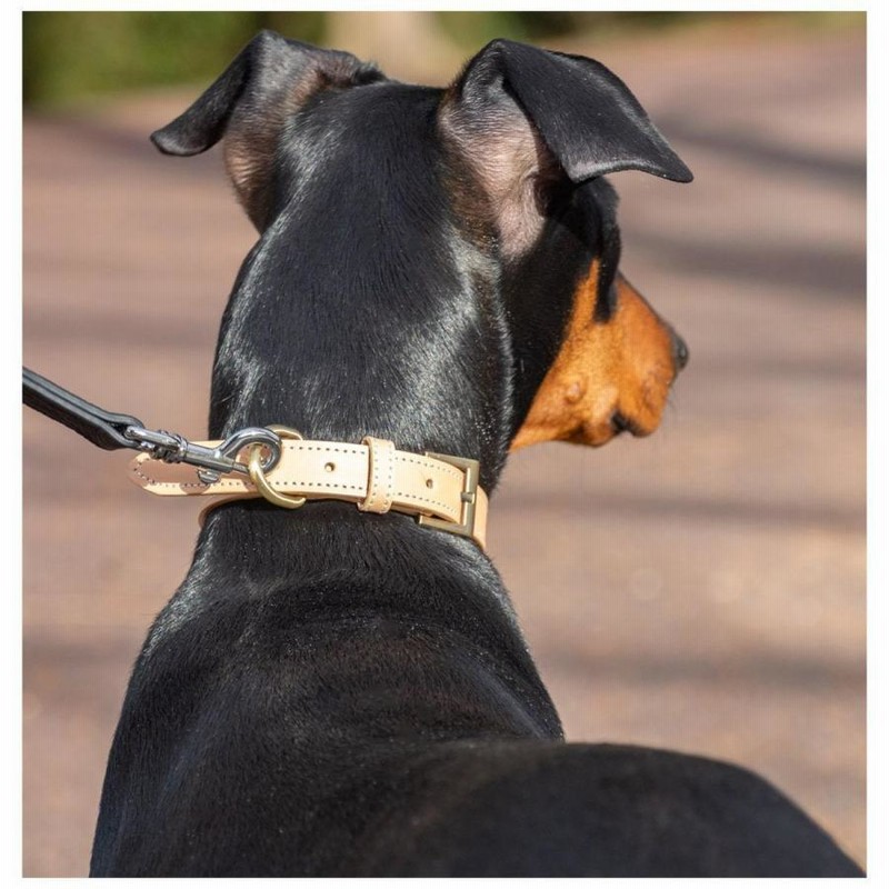 首輪 犬 猫 小型犬 レザー 犬 首輪 おしゃれ 中型犬 ブランド 革 本革 イタリアンレザー 犬の首輪 柴犬 イヌ ネコ キャット ペット用品 ペットグッズ Raficaro 通販 Lineポイント最大get Lineショッピング