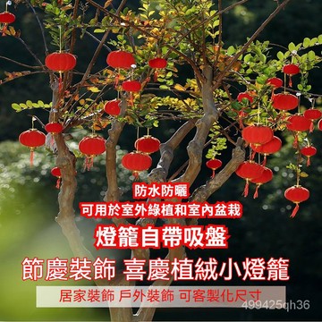 30入/包 小燈籠 植絨燈籠 居傢燈籠 紅燈籠 可串聯 居傢裝飾 戶外裝飾 掛件 裝飾 燈籠掛件